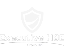 Executive HSE Group